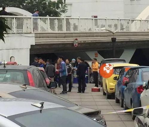 陆丰车管所爆料案件最新,案件细节曝光，真相令人震惊！”  第3张